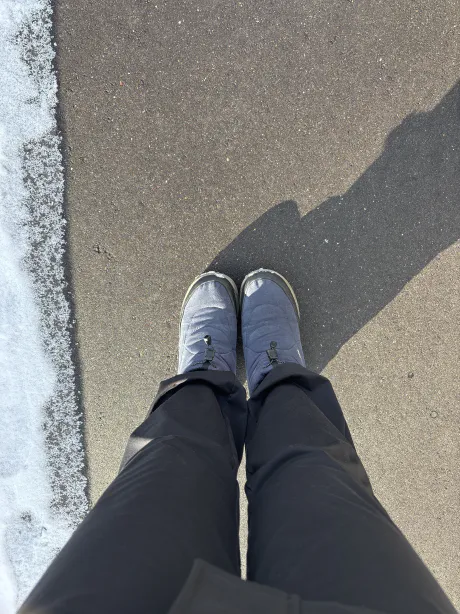 あけましておめでとうございます/しおん【青森弘前五所川原】