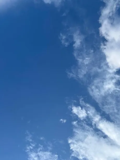 ほのかDeliysCure仙台
