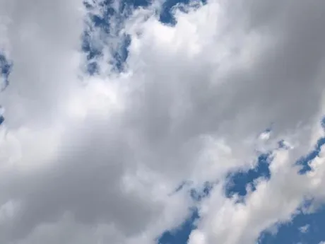 出勤しました/タエ