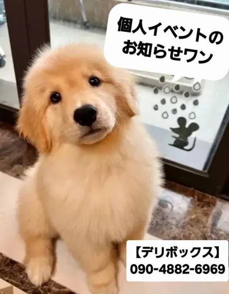 めい (魅惑のEカップ、パイパン嬢)デリボックス