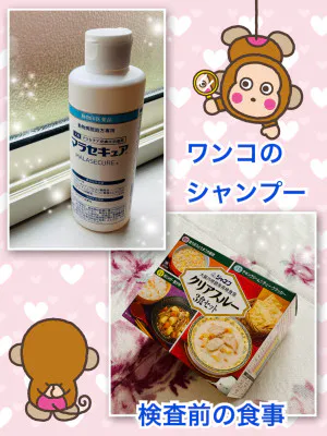 よしえ 奥様仙台人妻セレブリティー