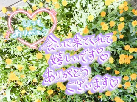 お礼となります/しおり