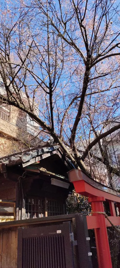 ゆりかデリヘルで遊ぼう!!-仙台店-