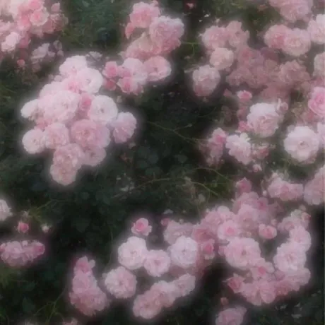 雫(しずく)グランドオペラ福岡