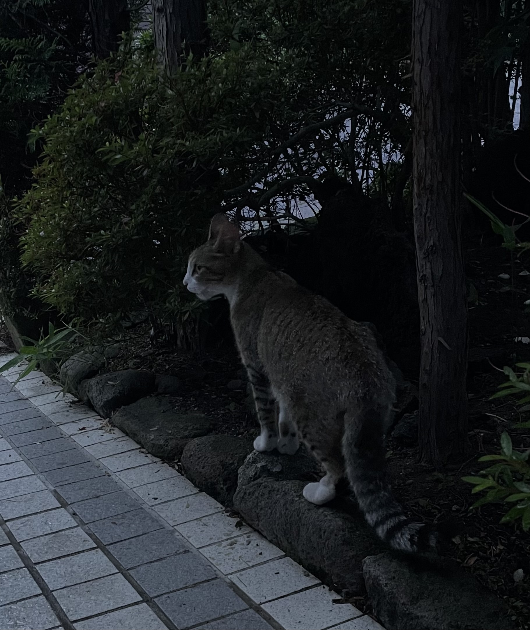 今週もお疲れ様でした