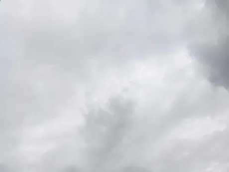 出勤しました