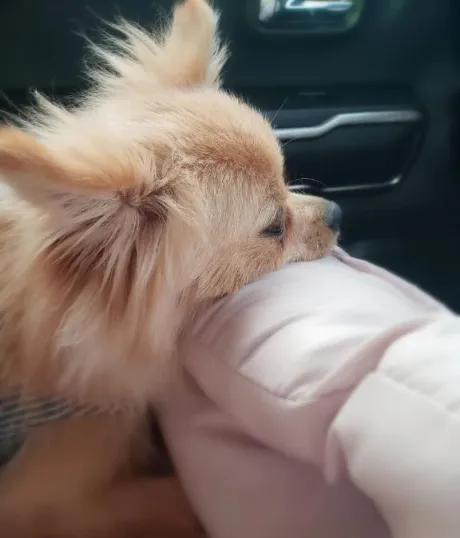 静香(しずか)グランドオペラ福岡