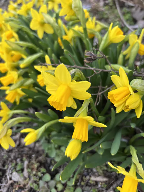 明日出勤です/しおん【青森弘前五所川原】