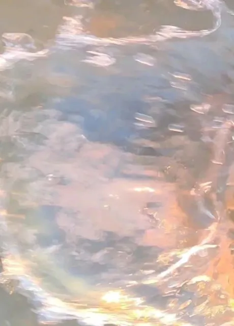 世奈(せな)のブログ 退勤しました🌙