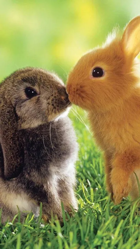 みやこ☆激エロ清楚系奥様のブログ [お題] 卒業する時は、、、