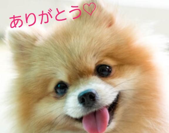 お礼💌