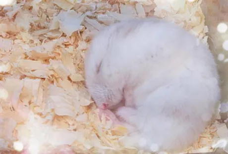 まさみ　奥様SUTEKIな奥様は好きですか？