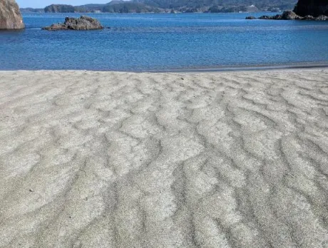 こんにちは♪/しほ