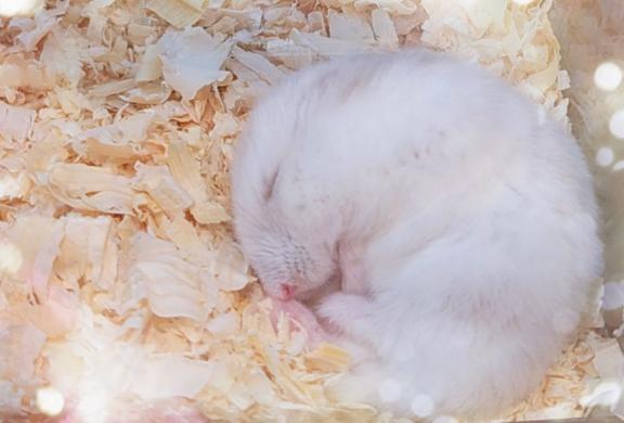 いつもありがとう♥️