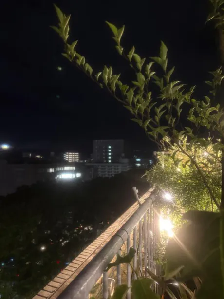 みるDeliysCure仙台