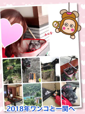 よしえ 奥様仙台人妻セレブリティー