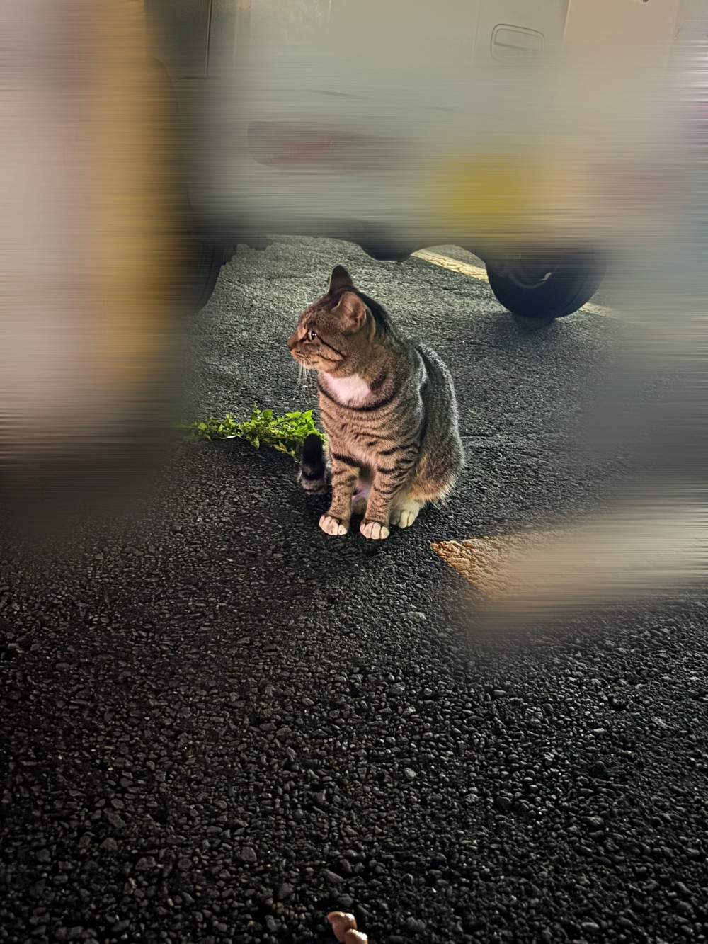 2026 年もよろしくナ ‼️