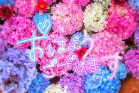 おはようございます(♡ŐωŐ♡)/きさき