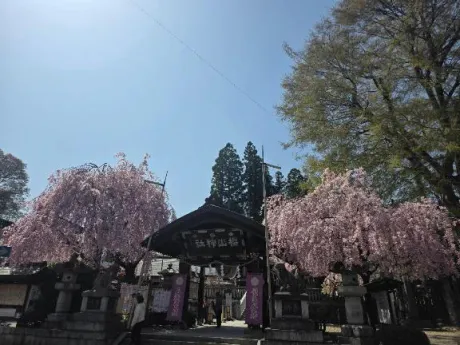🌸春のおでかけ🌸/吉良るな