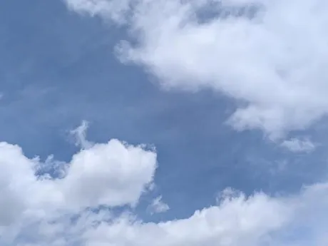 出勤しました/タエ