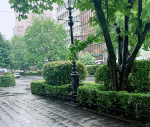 雨