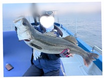 青森市あと4日🍎弘前市12日から✨