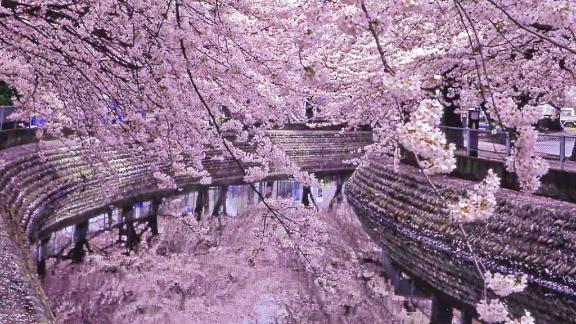 新人あず奥様メモリアル