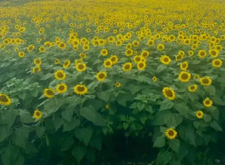 夏川あこ癒月　北上店