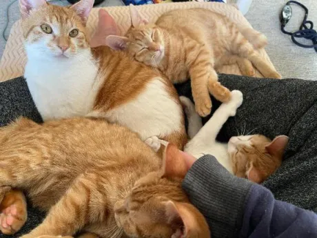 みさきのブログ ありがとう😊