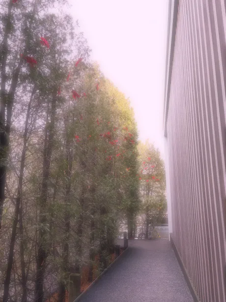 これから…/はるな【青森大釈迦】