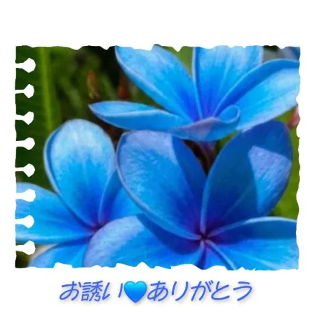 お誘い❤️ありがとう