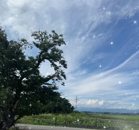 ももこです(^з^)2日日曜日12時30分のお兄さま/ももこ