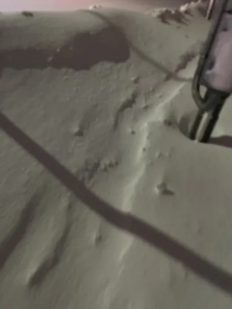 ツムギ【青森】身体弄んでみる？DINO～ディーノ～