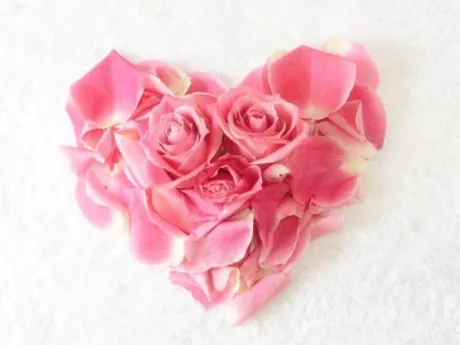 ことみ奥様鉄道69　仙台店