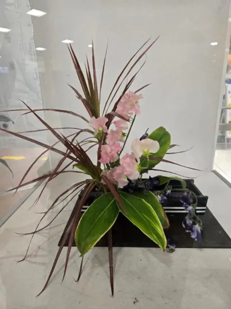 このか(弘前)青森･弘前人妻デリヘル桃屋
