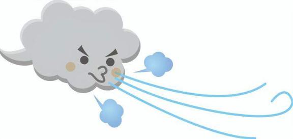 おはようございます🌞