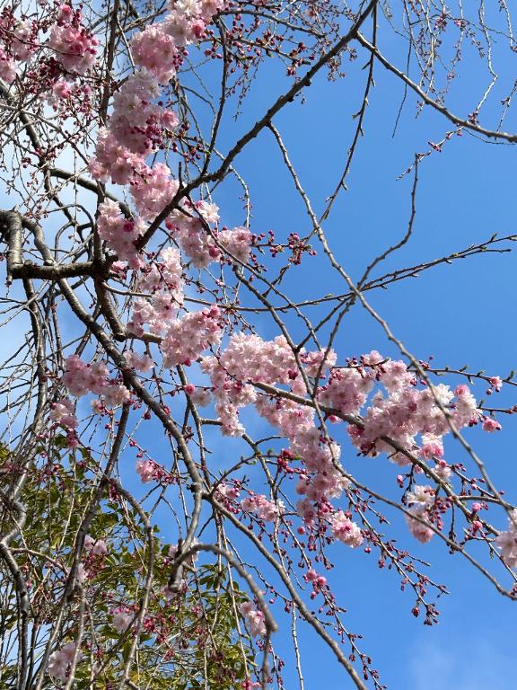 あさひ　奥様SUTEKIな奥様は好きですか？