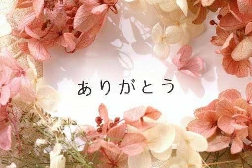 これまた!✨
