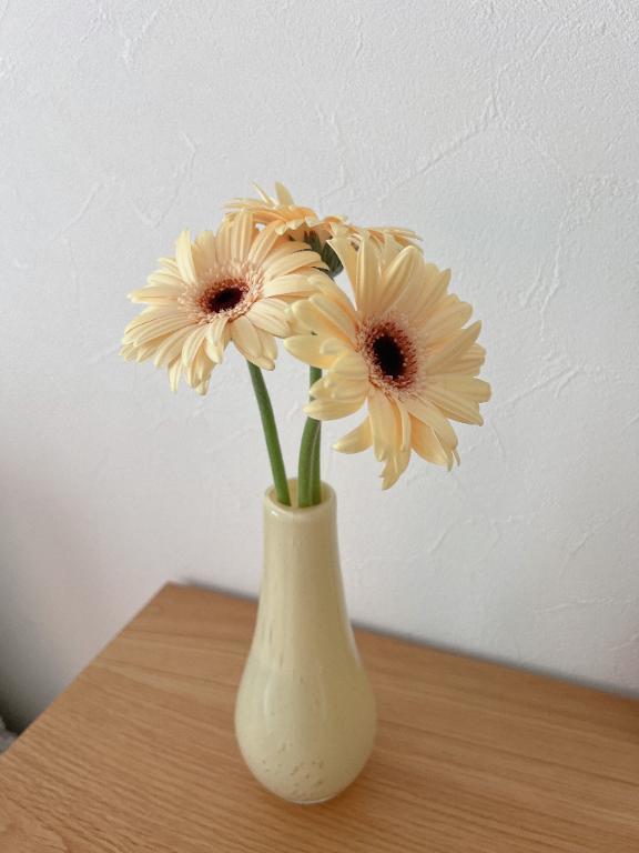 🌼