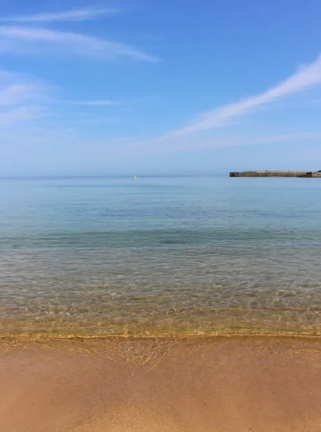 海の日🪼