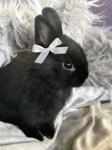 出勤ちたよ