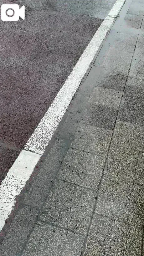 ゲリラな☂️/あず