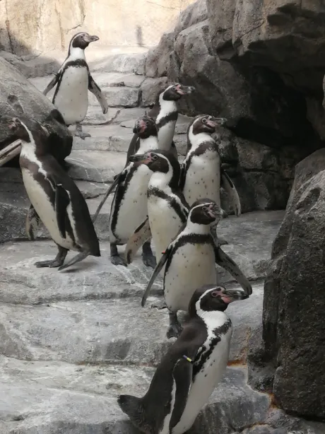 みき63歳【青】熟女専門店