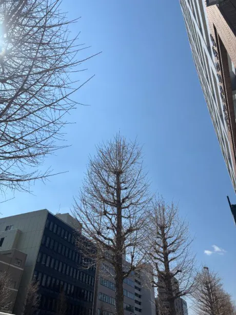 かや奥様メモリアル