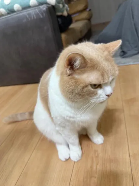残り1枠です🙋‍♀️/ゆり