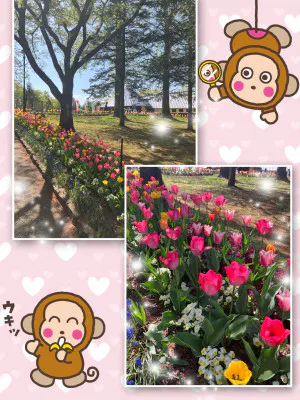 04/27 13:55よしえ 奥様