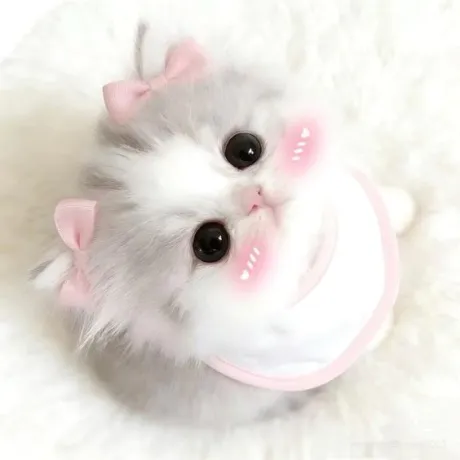 この後🎀/沙知(さち)