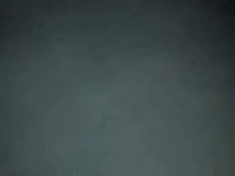 07/15 03:20タエ