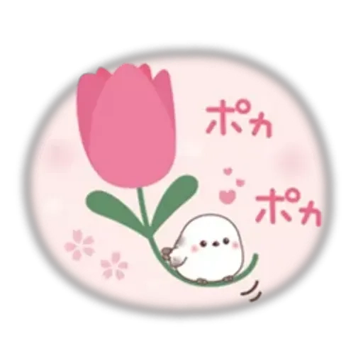 🌞/緊急入店マオリ(弘前)