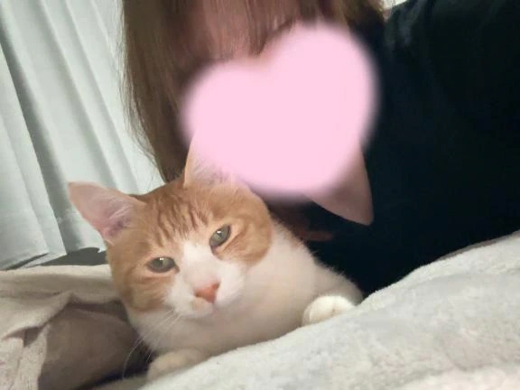 ヒマリ人妻生レンタルーNTRー